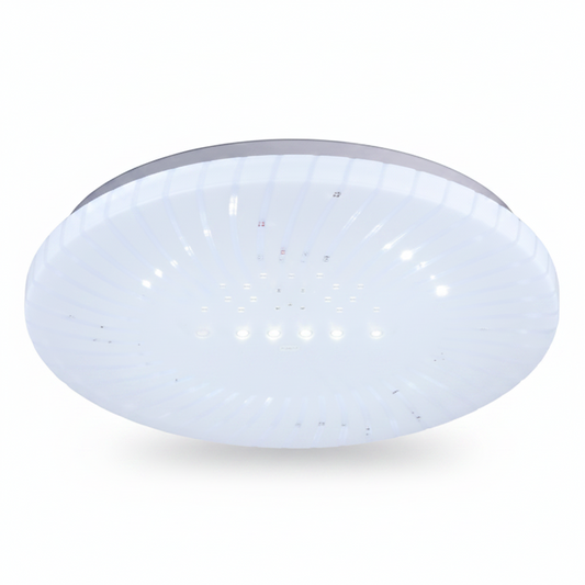 CEILING LIGHT CE108 24W 300MM