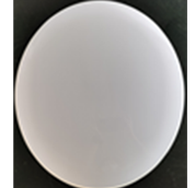 CEILING LIGHT CE111 25W